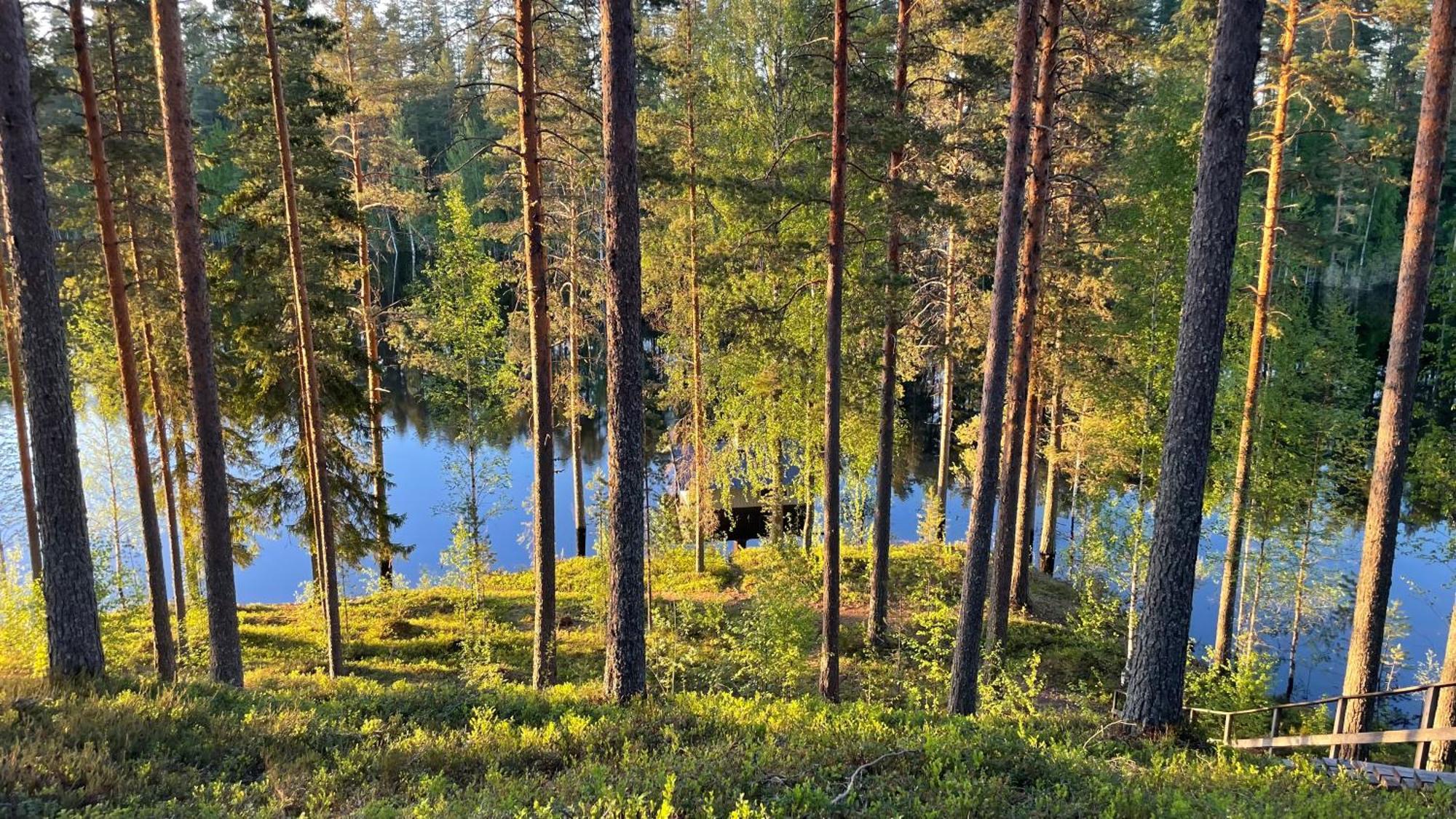Ahvenlampi Camping Saarijärvi Eksteriør billede
