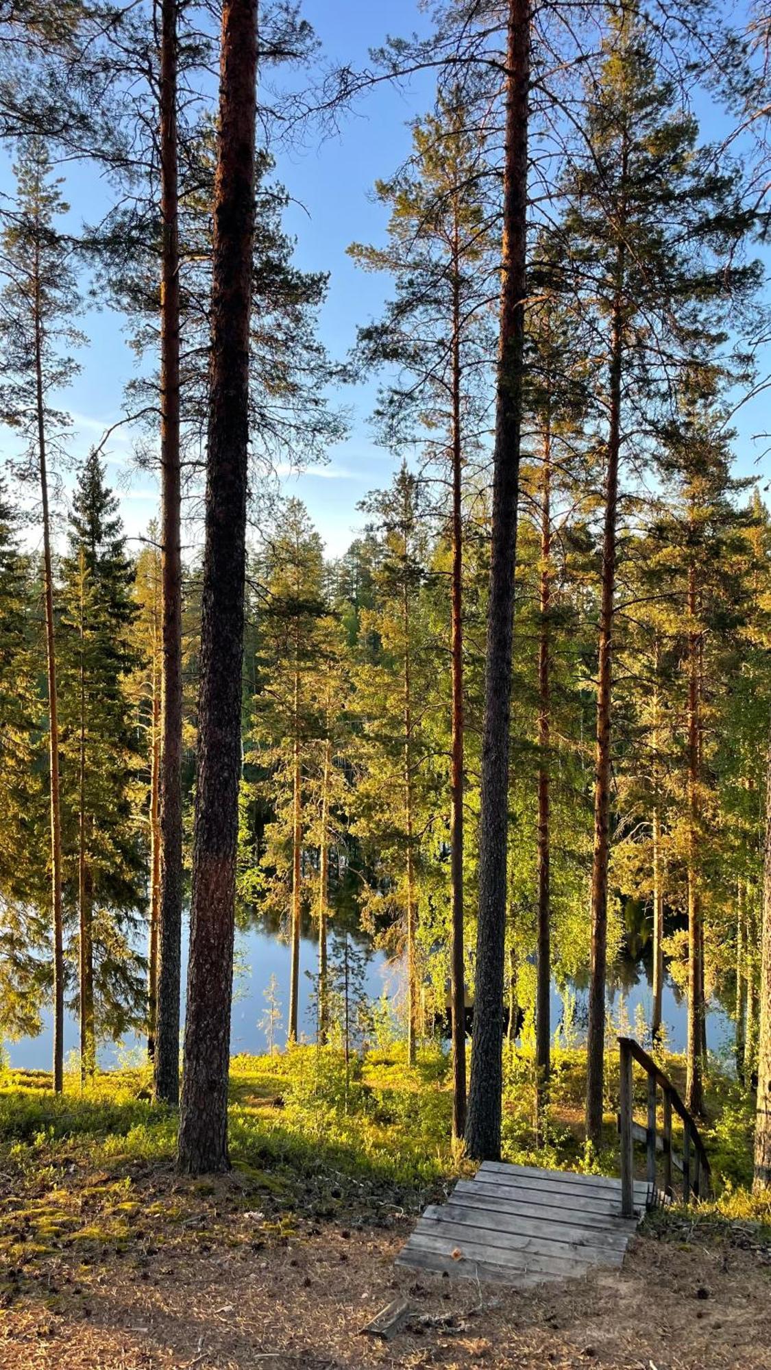 Ahvenlampi Camping Saarijärvi Eksteriør billede