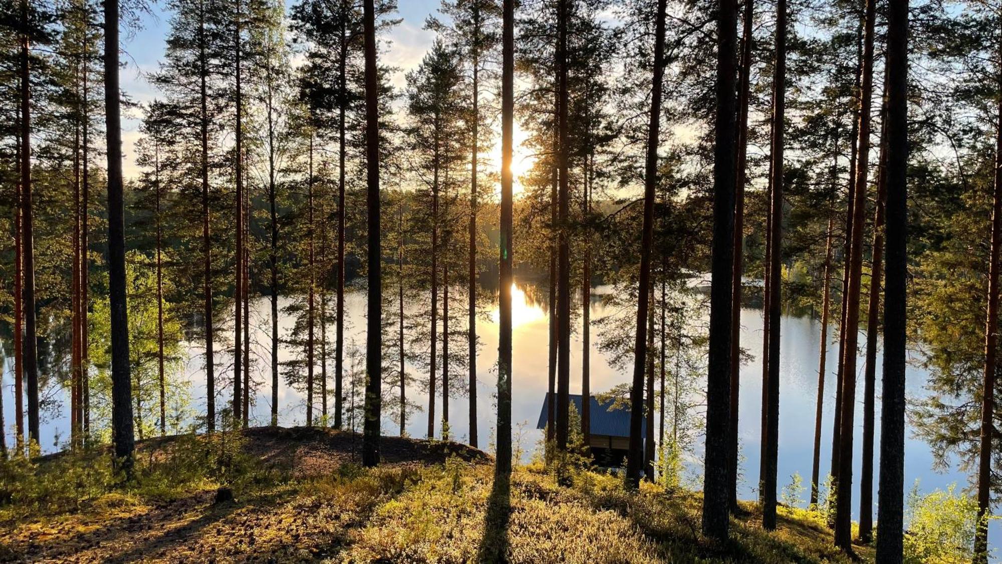 Ahvenlampi Camping Saarijärvi Eksteriør billede