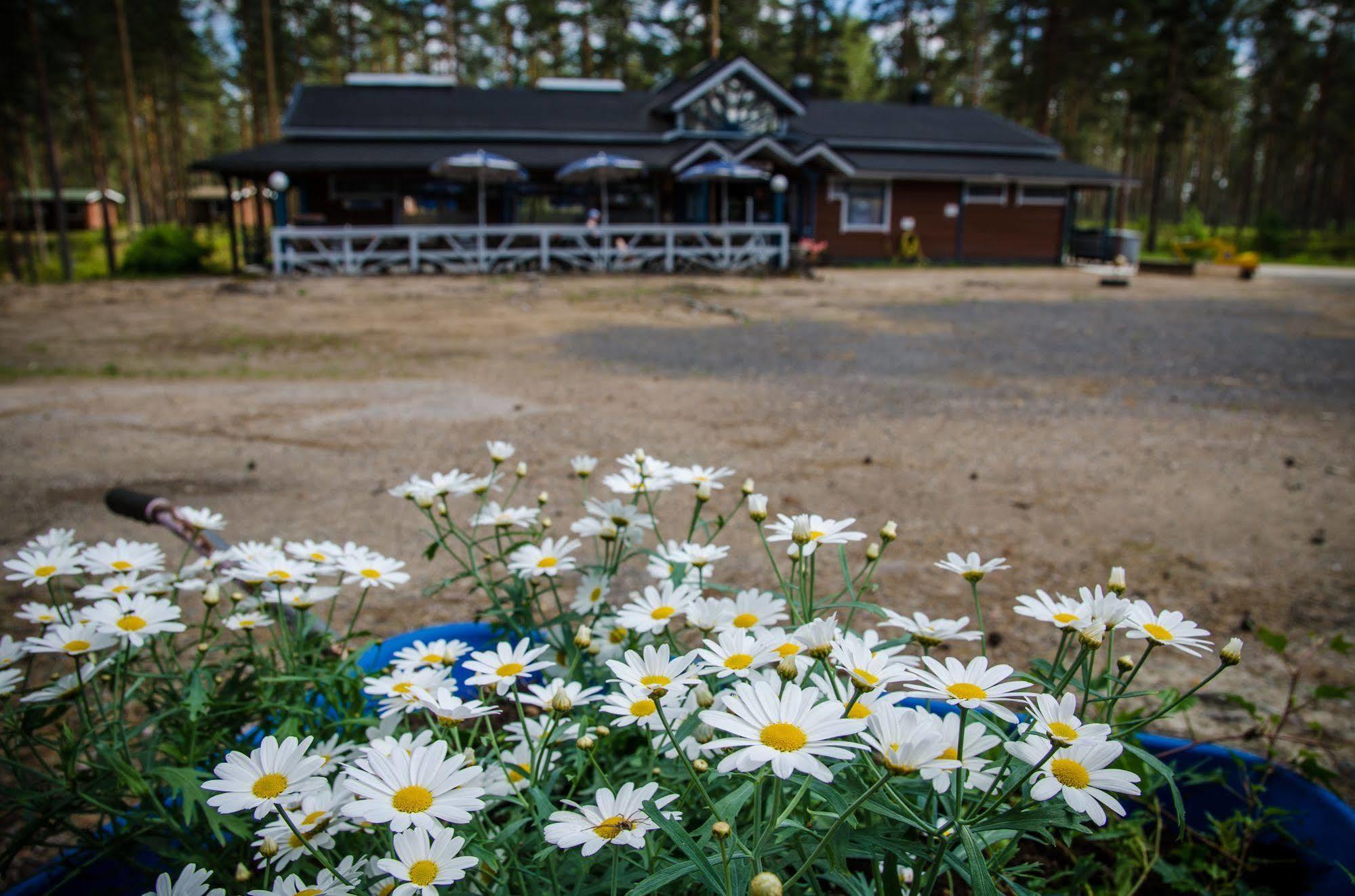Ahvenlampi Camping Saarijärvi Eksteriør billede