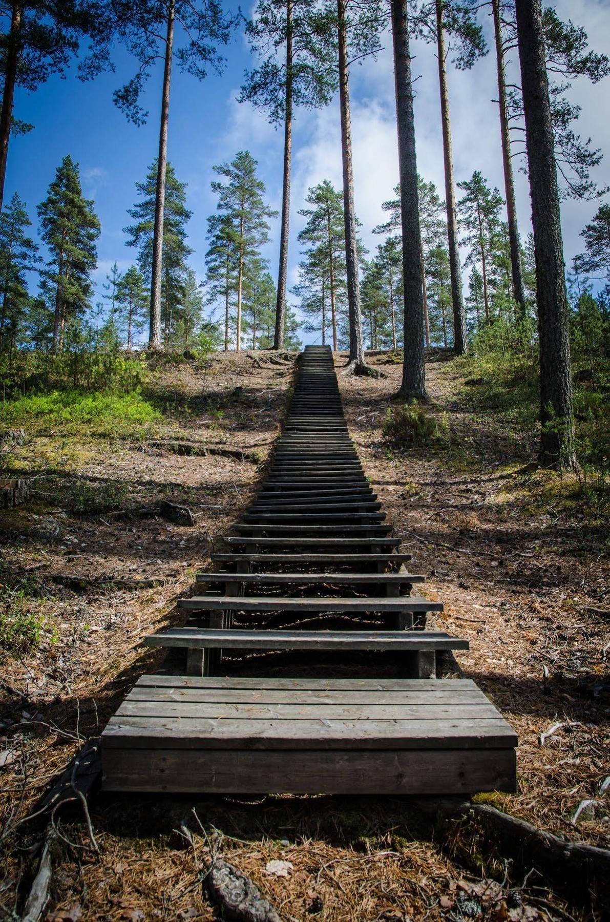 Ahvenlampi Camping Saarijärvi Eksteriør billede